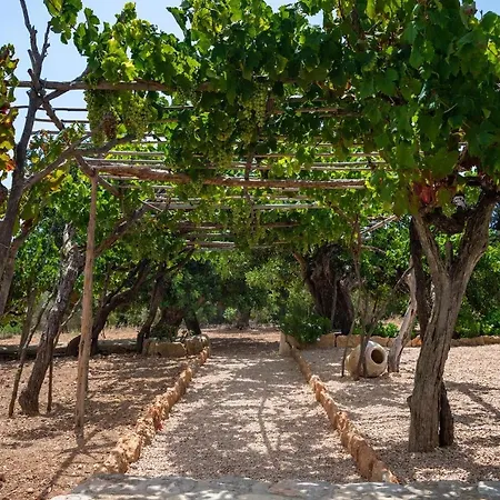 Mateu * Santa Eularia des Riu