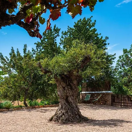 Mateu Holiday home *