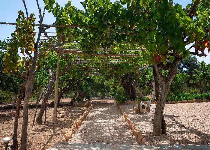 Mateu * Santa Eularia des Riu